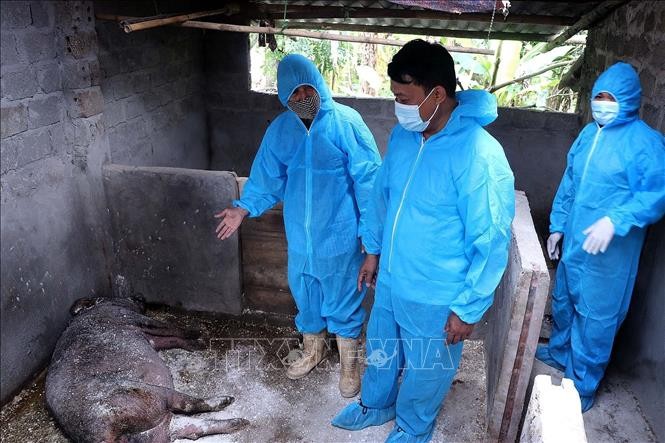 Nông nghiệp ứng phó dịch bệnh và chính sách thuế quan để giữ đà tăng trưởng