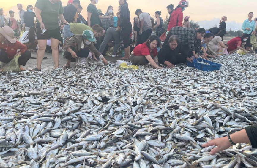 Hà Tĩnh: Ngư dân trúng mẻ cá đù hơn 4 tấn