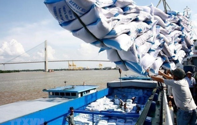 7 triệu tấn gạo có thể xuất khẩu trong năm nay