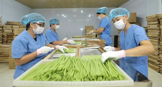 Nâng cao năng suất lao động trong kinh tế nông nghiệp - nông thôn