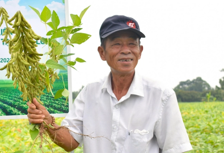 Bỏ một vụ lúa, nông dân Tiền Giang nhàn mà thu nhập lại cao