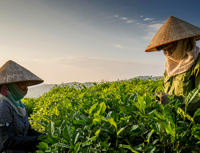Thái Nguyên: Xây dựng nông thôn mới nâng cao