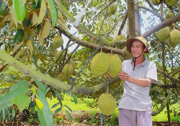 HTX chuẩn hóa quy trình để đáp ứng yêu cầu cao hơn của thị trường
