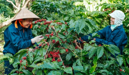 Động lực đưa Việt Nam hòa nhập “sân chơi” EU