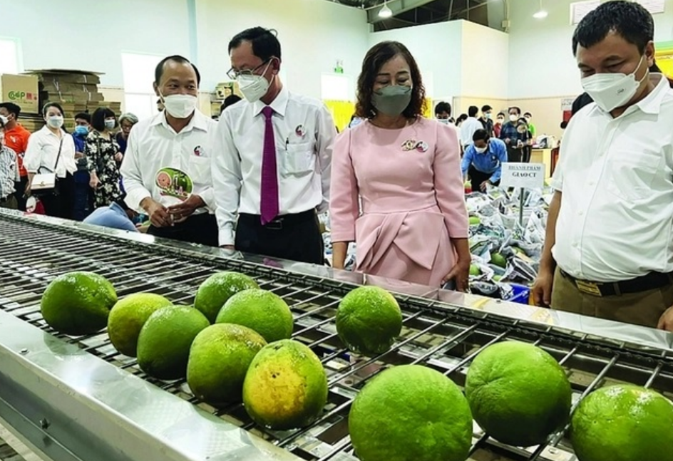 Xuất khẩu nông sản sang thị trường khó tính