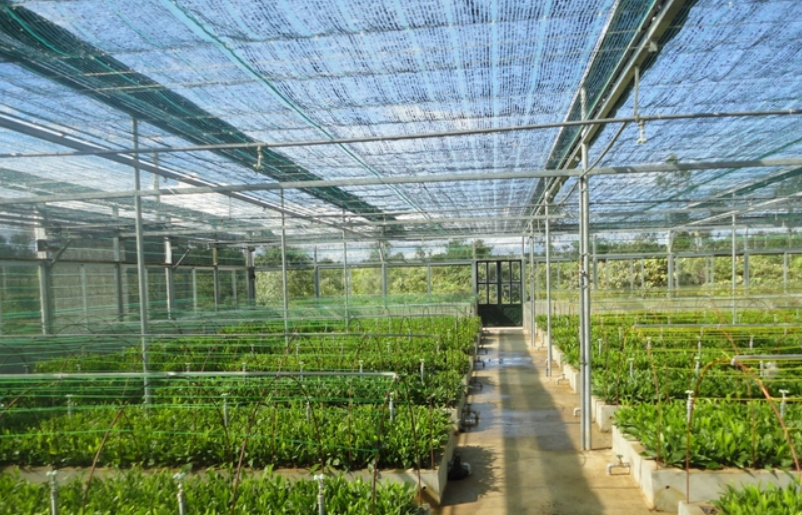 60 năm và 1.200 công trình nghiên cứu khoa học lâm nghiệp