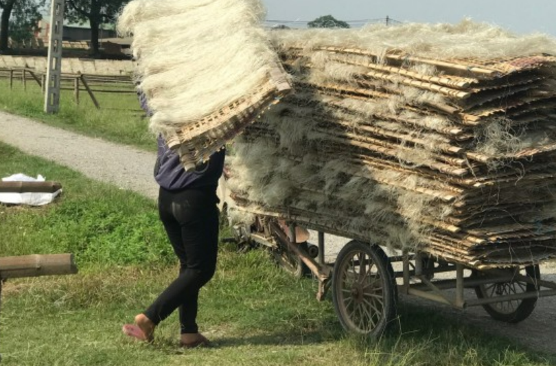Tăng giá trị sản phẩm miến dong làng So