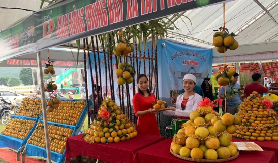 Khai mạc Lễ hội Cam Cao Phong lần thứ 7