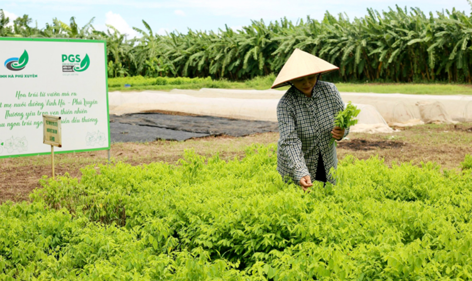 Tăng cường liên kết và sản xuất nông nghiệp bắt nhịp xu thế công nghệ số