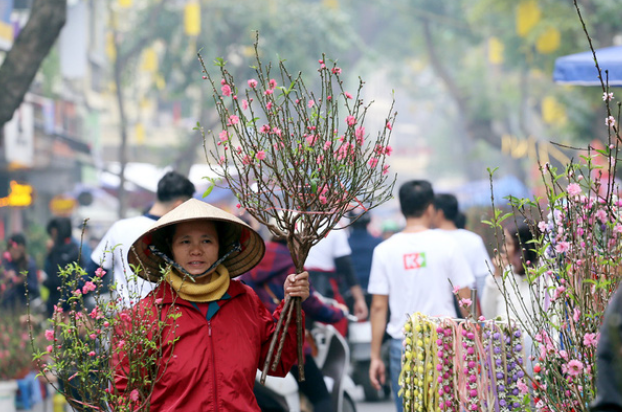 Hà Nội sẽ tổ chức 91 điểm chợ hoa phục vụ Tết Nguyên đán Quý Mão 2023