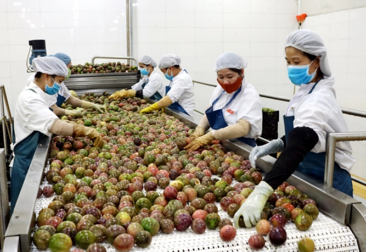 Thương nhân Trung Quốc đưa ra 5 kiến nghị giúp nâng cao giá trị nông sản Việt