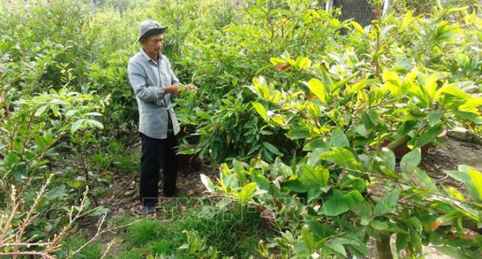 Không xây dựng nông thôn mới theo kiểu 'mặc đồng phục'
