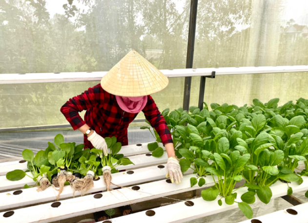 Đưa công nghệ “phủ” lên đất nông nghiệp: Bước đột phá để làm giàu