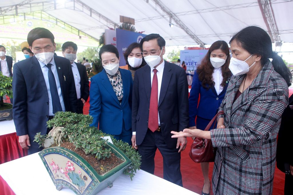 Lan đột biến 5 cánh trắng, si cổ thế độc, lạ giá tiền tỷ và những "siêu phẩm" cây cảnh nghệ thuật tại Triển lãm Sinh Vật Cảnh Thủ đô năm 2022