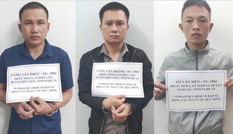 Bắt 3 đối tượng vận chuyển hổ hơn 200 kg đi tiêu thụ