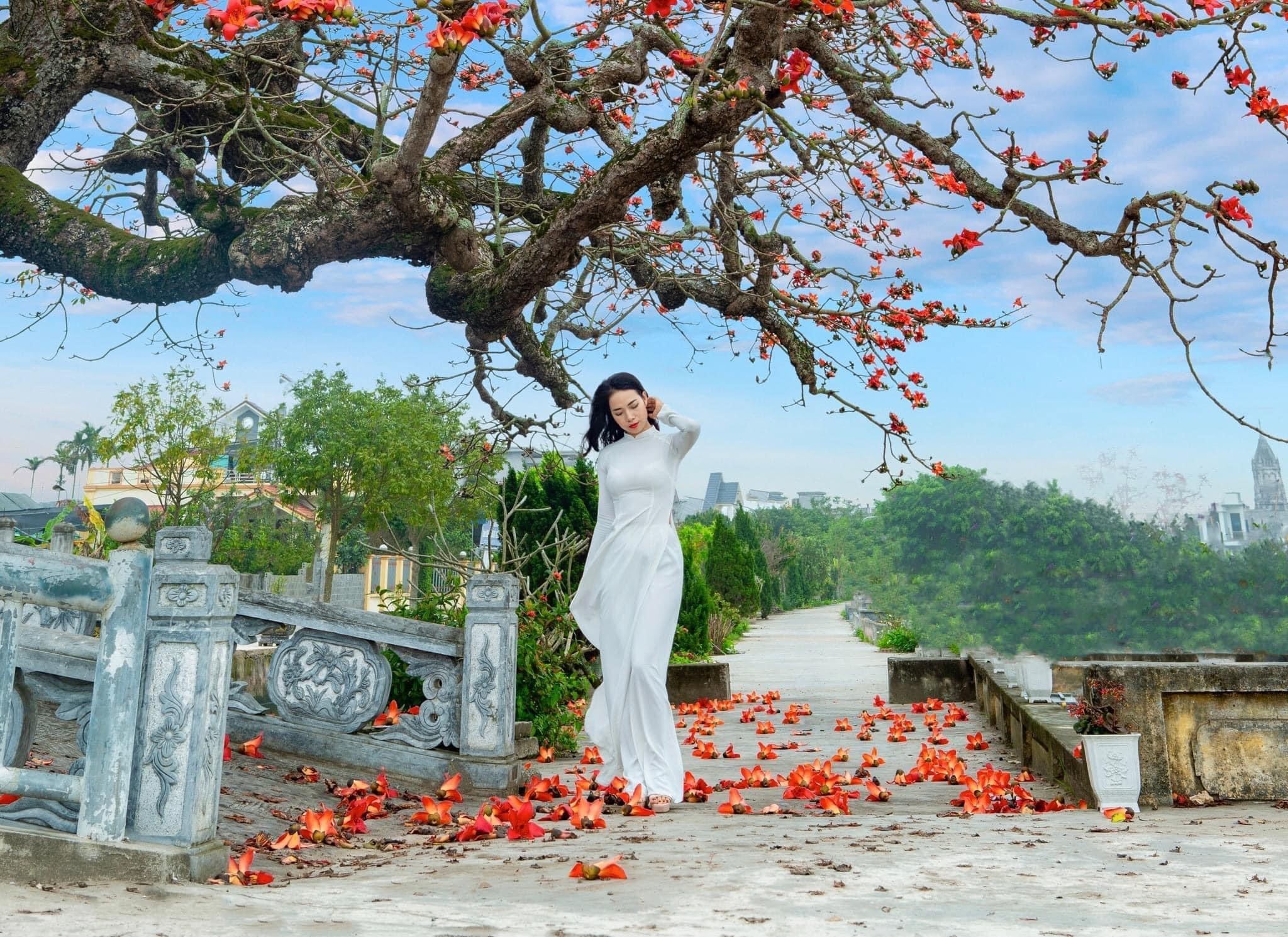 Bộ ảnh đẹp về thiếu nữ bên hoa gạo của nhiếp ảnh gia Cao Sơn