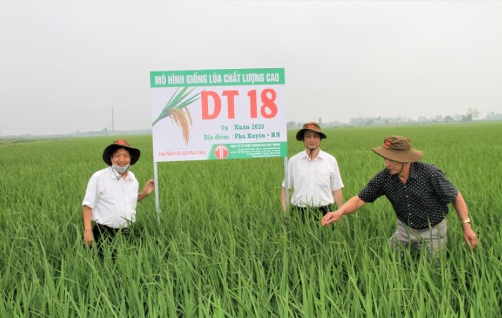 Hỗ trợ phát triển HTX Nông nghiệp trong tình hình mới: Những vấn đề thiết thực cần trao đổi