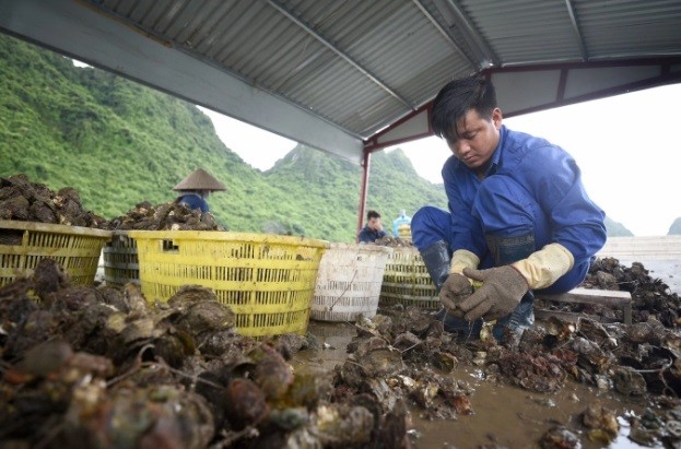 Sôi động chuyển đổi số nông nghiệp Đất mỏ