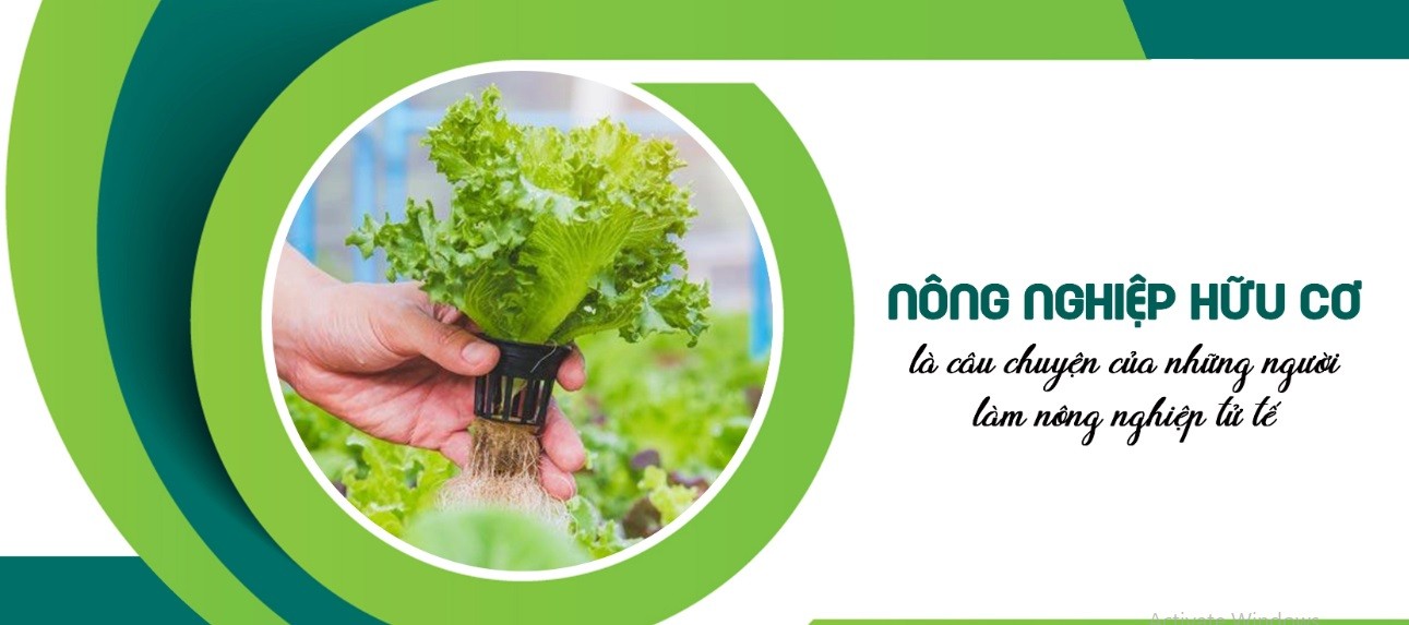 Hóa học hóa hay hữu cơ hóa nông nghiệp Việt Nam (Phần II)