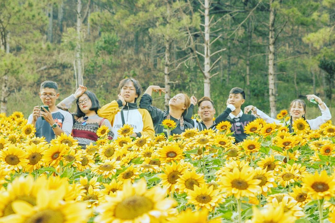 TS Lê Thành Ý: Nông trại Puppy Farm Đà Lạt mô hình nông nghiệp đô thị công nghệ cao mang  nhiều triển vọng của tỉnh Lâm Đồng.