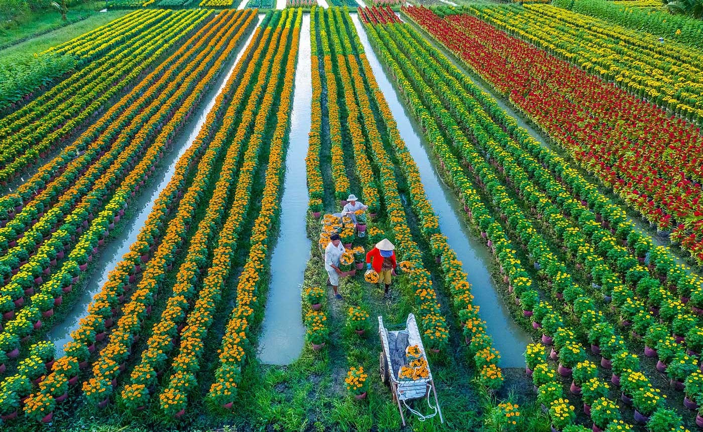 TS. Nguyễn Văn Bộ: Bàn về xu hướng sản xuất Nông nghiệp nhiều hơn từ ít hơn (More from less)