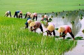 TS. Lê Thành Ý: Phát triển kinh tế hợp tác, Hợp tác xã và hoàn thiện thể chế đất đai trong Nông nghiệp (Kì 1)