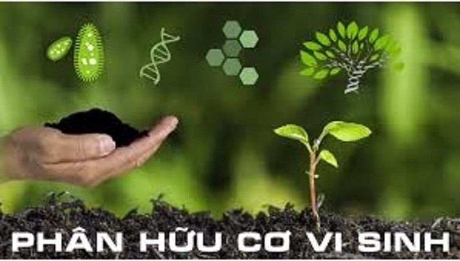 TS. Lê Thành Ý: Phân bón trong nông nghiệp vấn đề nan giải đối với hàng chục triệu hộ nông dân