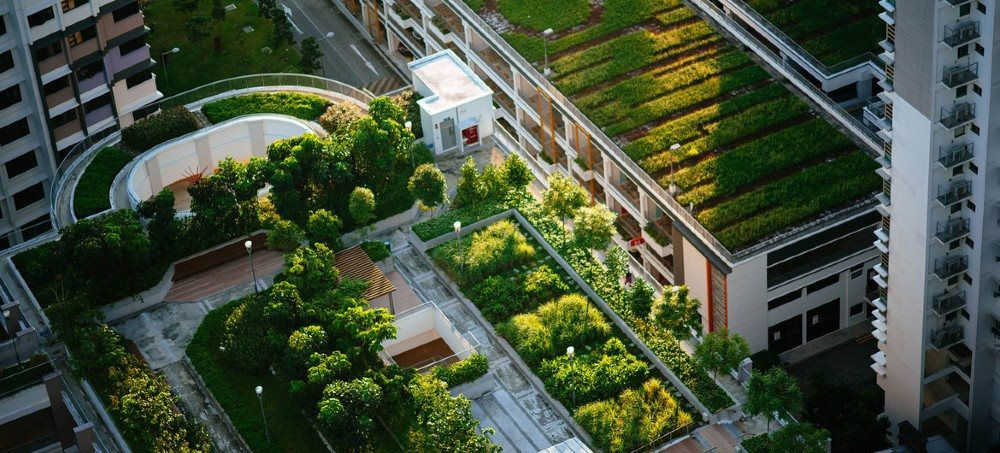 TS. Lê Thành Ý: Đồng hành để phát triển xanh