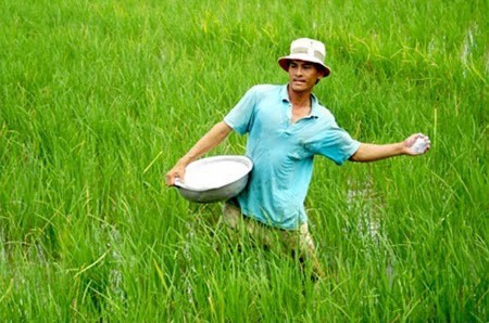 TS. Nguyễn Văn Bộ: Nâng cao hiệu quả sử dụng phân bón: định hướng và giải pháp (Phần 1)