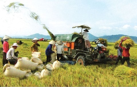 TS. Lê Thành Ý: Tác động của công nghiệp hóa, hiện đại hóa đến tăng trưởng và chuyển dịch cơ cấu nông nghiệp và kinh tế nông thôn
