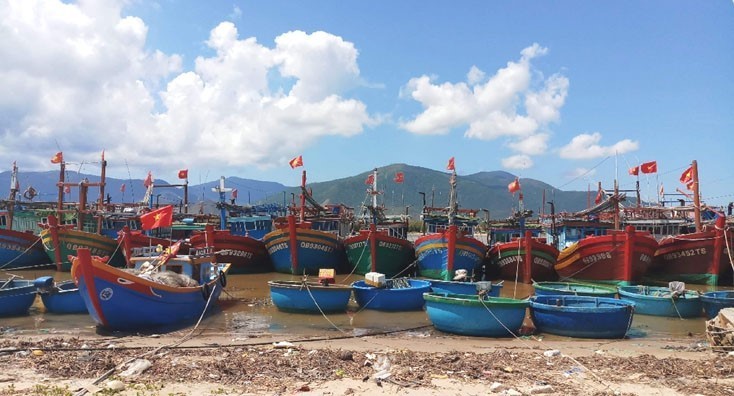 TS. Lê Thành Ý: Khai thác hải sản những vấn đề cần đặt ra đối với Việt Nam