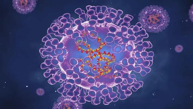 Báo động: Virus đậu mùa khỉ tiến hóa 'thần tốc' nhanh gấp 12 lần thông thường