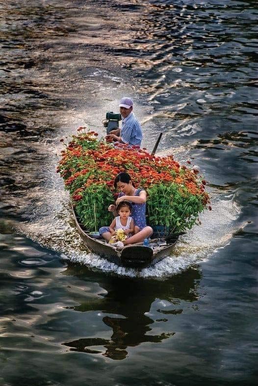 Em - Dòng sông của anh (Vũ Tuấn)