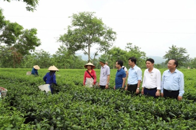 Chuyển đổi số, chìa khóa chuyển dịch sang kinh tế nông nghiệp