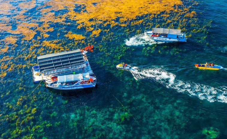 Đảo Hòn Khô đẹp như mơ giữ lòng Quy Nhơn - Bình Định