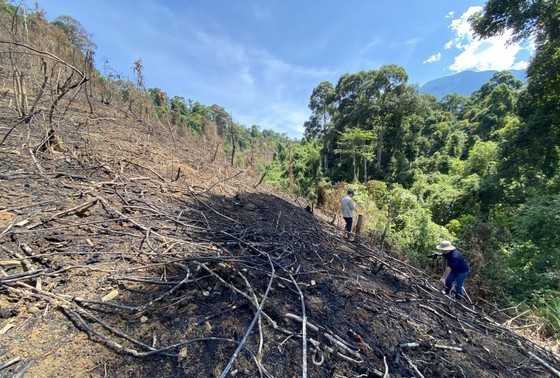 Khởi tố 3 đối tượng liên quan vụ đốt thực bì gây cháy rừng tự nhiên