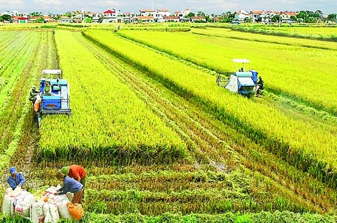 Nghị quyết Hội nghị Trung ương 5 về nông nghiệp, nông dân, nông thôn