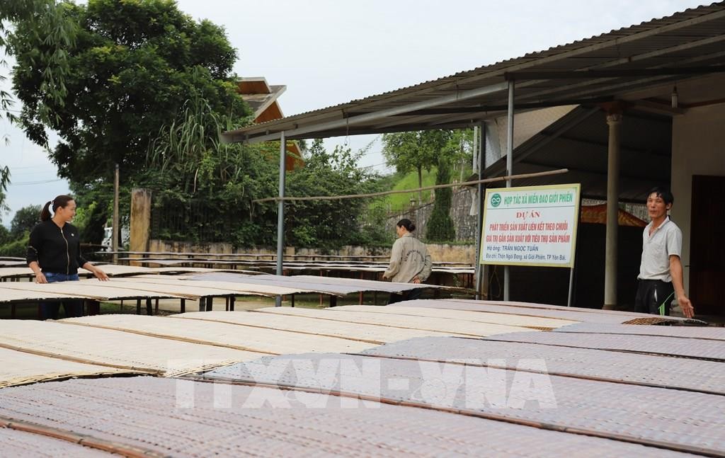 Giảm nghèo bền vững ở vùng đặc biệt khó khăn Yên Bái