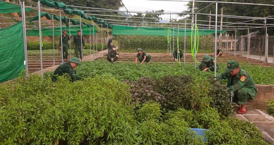Điểm sáng về tăng gia sản xuất