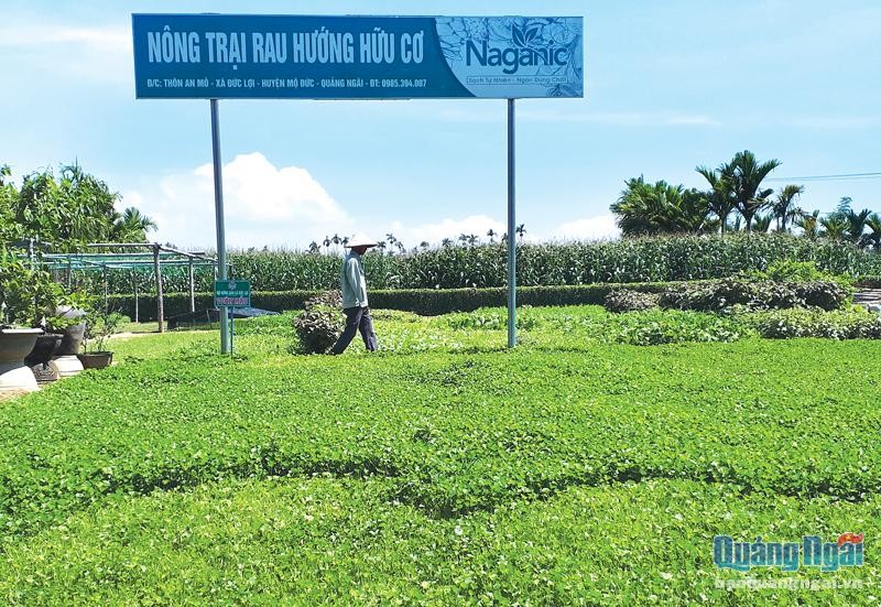Nỗ lực xây dựng huyện nông thôn mới