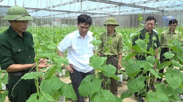 Dấu ấn cựu chiến binh xung kích trên mặt trận xóa đói, giảm nghèo