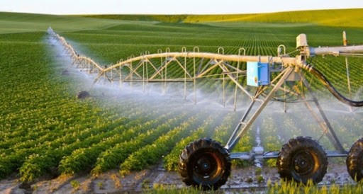 Một số chính sách và giải pháp phát triển nông nghiệp công nghệ cao ở Thành phố Hà Nội