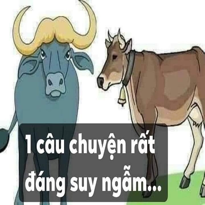 Muốn thành công, hãy kín tiếng