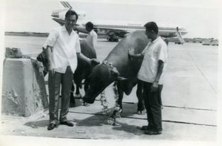 u2-1661146768.jpg