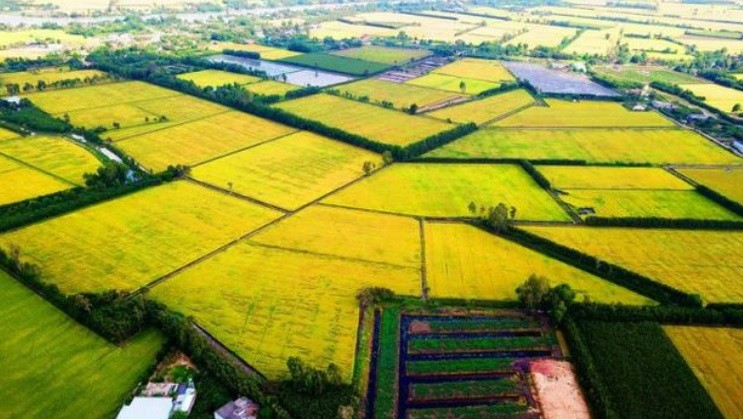Đổi mới tư duy, thúc đẩy phát triển nông nghiệp và nông thôn bền vững vùng ĐBSCL