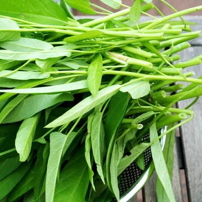 Ai cũng từng ăn rau muống, nhưng ít người biết những ‘đại kỵ’ khi ăn có thể gây hại thận, ngộ độc