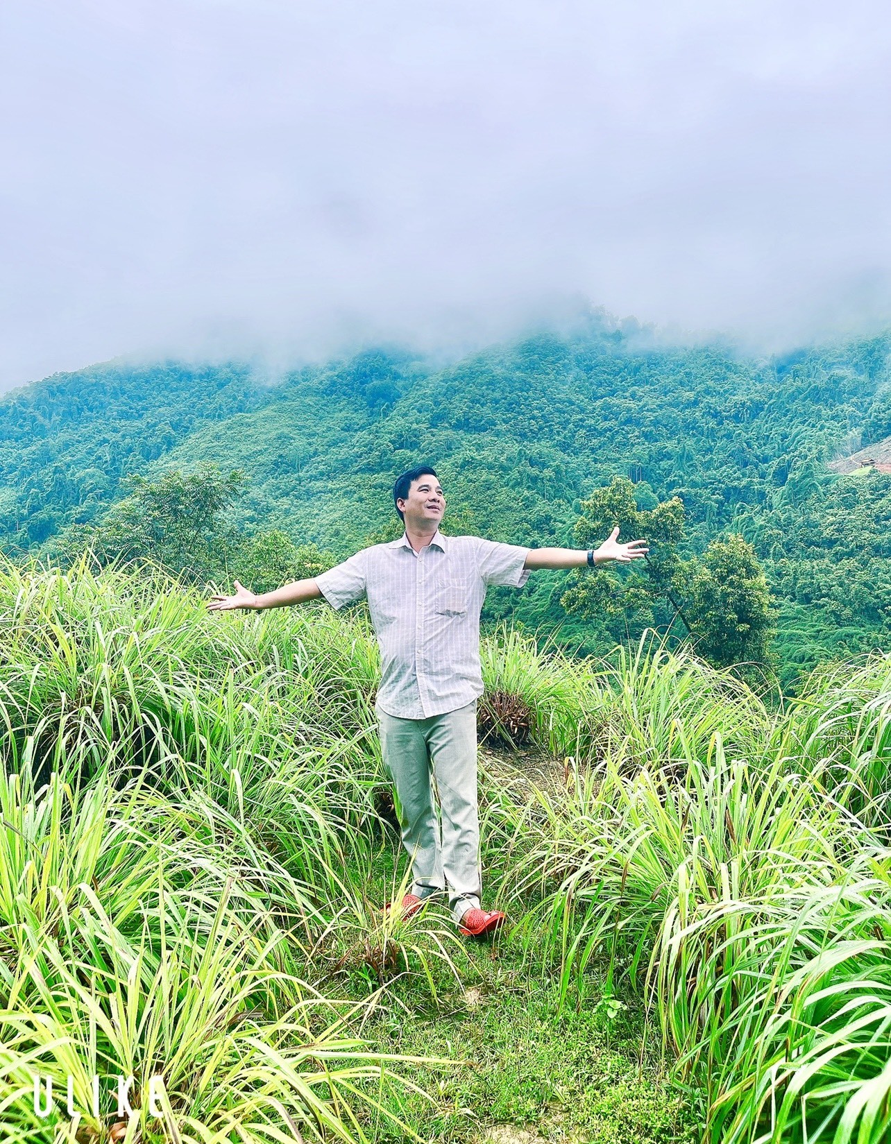 Công ty TNHH Tống ALy mở rộng liên kết trồng và tiêu thụ cây sả giúp người dân làm giàu