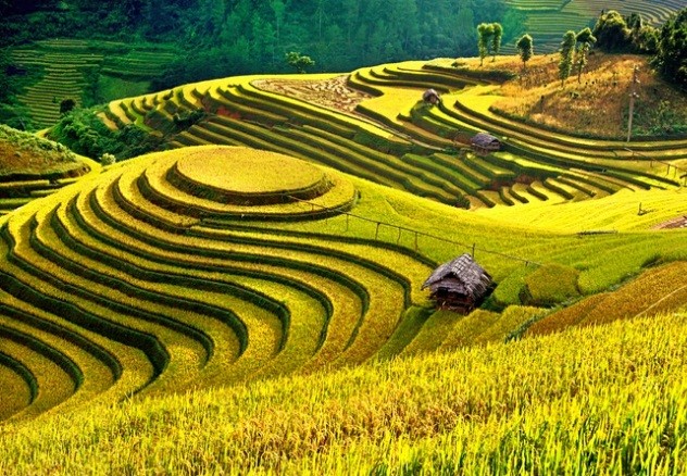 Khám phá danh thắng Quốc gia đặc biệt Mù Cang Chải