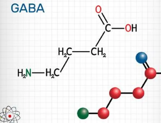 Dự án sản xuất thử nghiệm chế phẩm axit gamma amino butyric (GABA) và thực phẩm chức năng giàu GABA từ gạo lứt, đậu tương