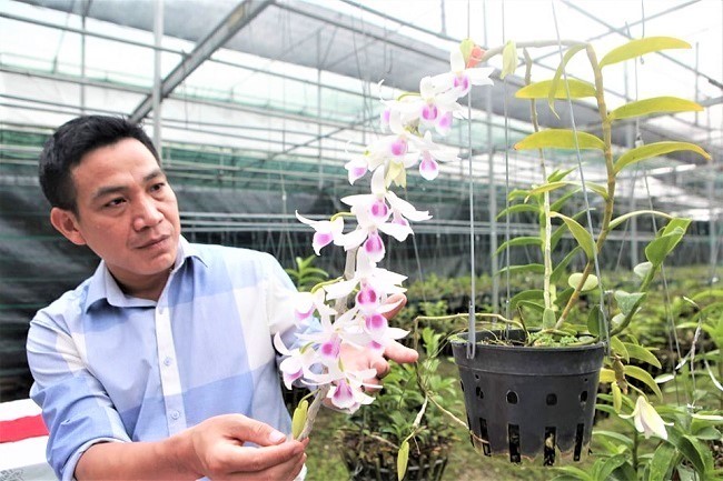 Phát triển Nông nghiệp đô thị bền vững - một số vấn đề cần đặt ra